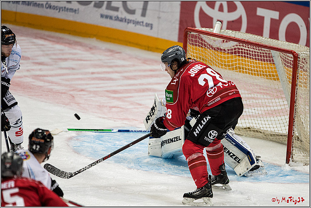 Koelner Haie - Straubing Tigers, 03.10.2016